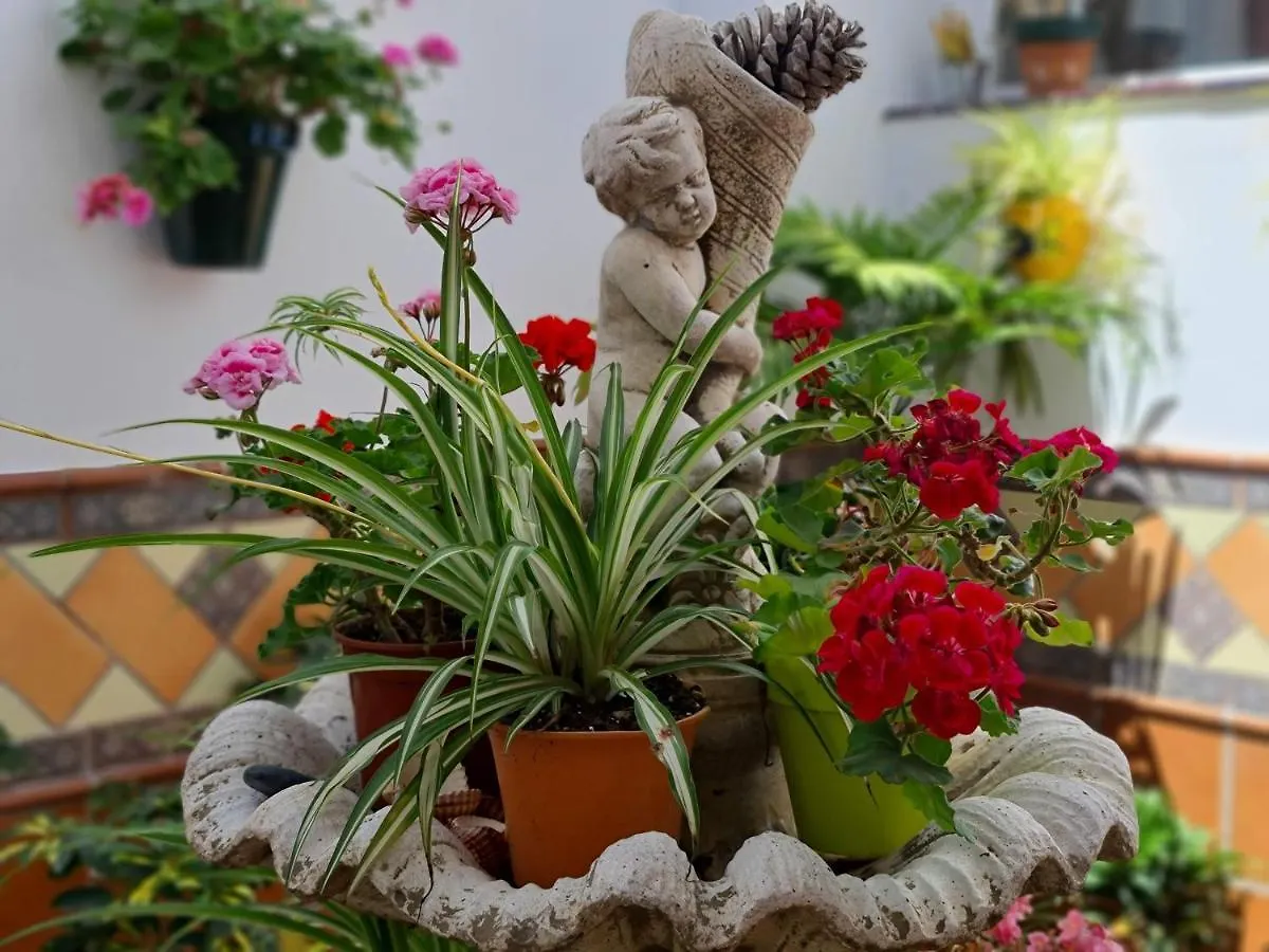 Apartamentos El Barrio Nerja