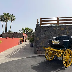 https://finca-pico.in-canary-islands.com